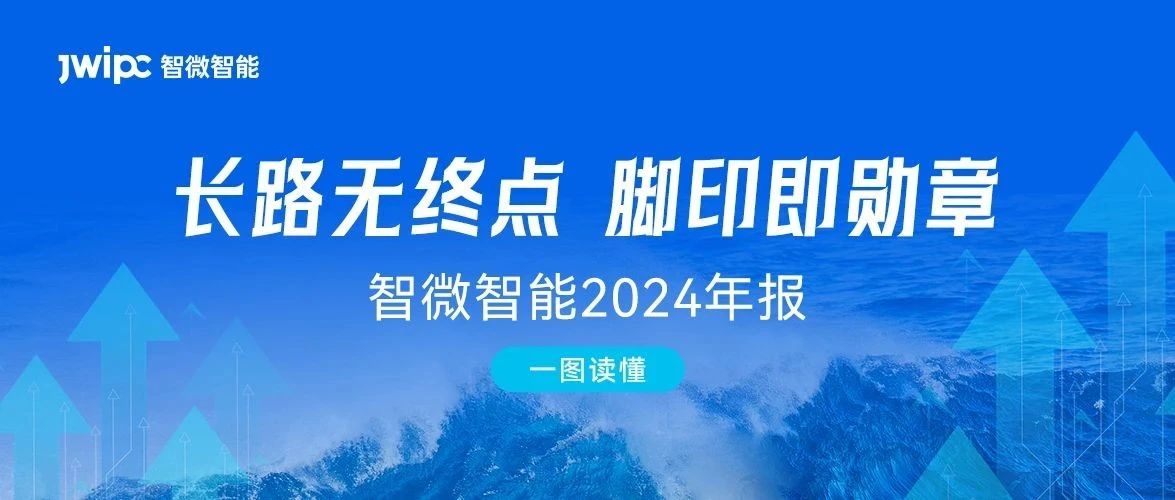 [一图读懂智微智能2024年报] 长路无终点，脚印即勋章. 2024年实现营收与利润双增长
